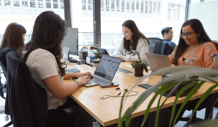 The dedicated Oxygen Team at the Oxygen office