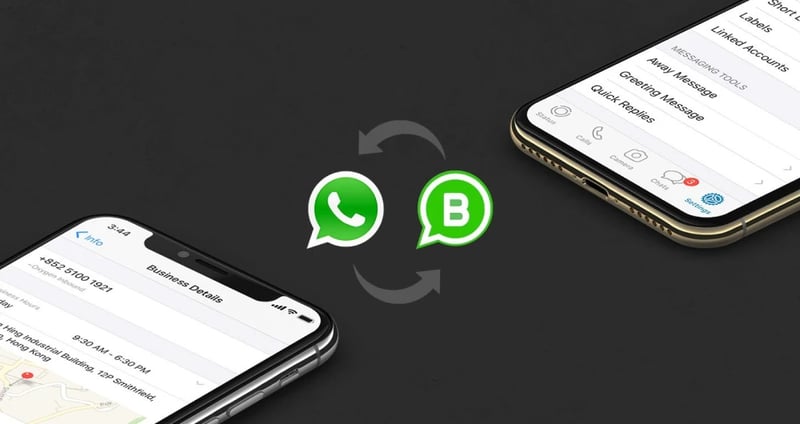 Why Your Business Needs to Be Using WhatsApp Business in 2024 featured image